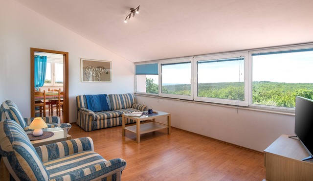 New Listing! Comfortable apartment, 4 persons, with Adriatic sea view, quiet in Peruški