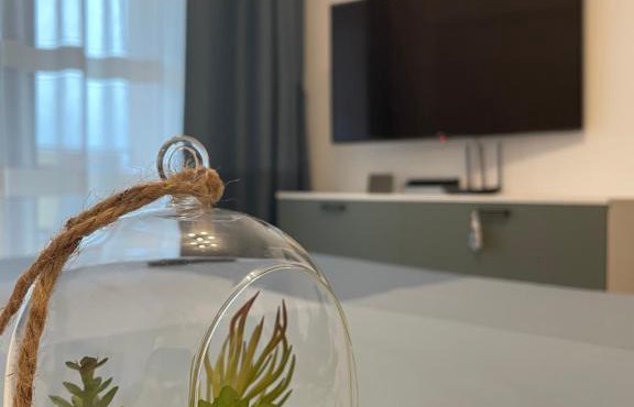 New Studio in Piteşti