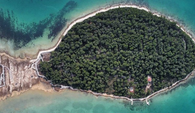 New vacation home with 2 terraces, right by the sea - a dream surrounded by forest