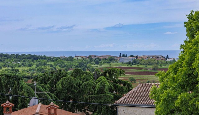 Nice apartment in villa for 3 people with A/C, WIFI, TV, terrace and pets allowed