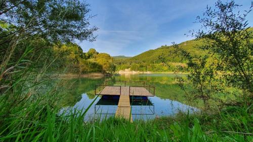 Noble Chalet Lake & Forest in Teşila
