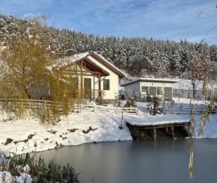 NOIA Caban in Piatra Neamt