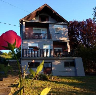 OLOR Apartman 2 - Banoštor in Banostor