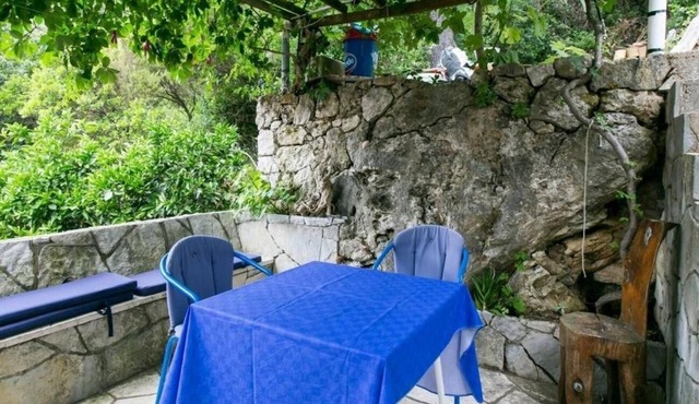 One bedroom apartment with balcony and sea view Sobra, Mljet (A-600-a) in Babino Polje