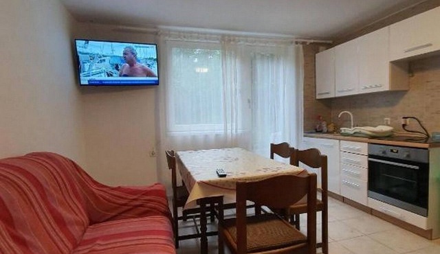One bedroom apartment with terrace Delnice, Gorski kotar (A-21746-a)