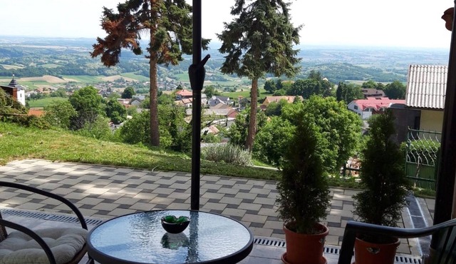 One bedroom apartment with terrace Kalnik, Podravina (A-22913-a)