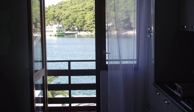 One bedroom apartment with balcony and sea view Kukljica, Ugljan (A-8260-b)