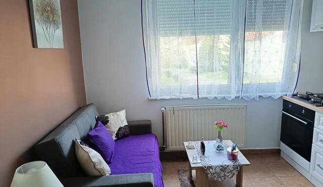 One bedroom apartment with air-conditioning Vukovar, Slavonija (A-24797-a)