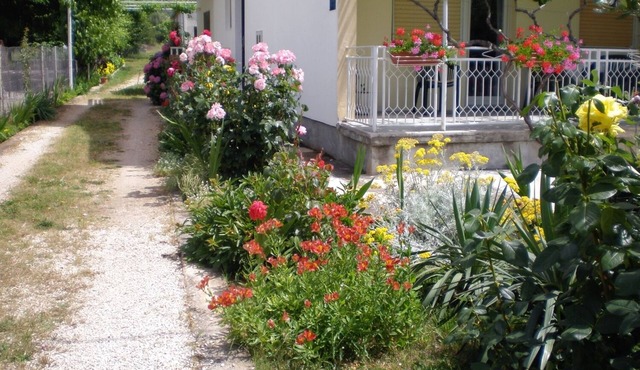One bedroom apartment with terrace Sukošan, Zadar (A-5802-c)