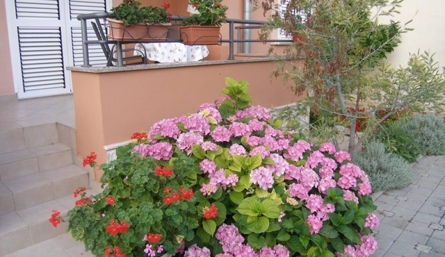 One bedroom apartment with balcony Sukošan, Zadar (A-14970-a)