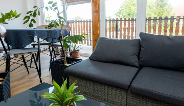 One bedroom apartment with terrace Darda, Baranja (A-21982-b)