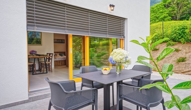 One-Bedroom Apartment with Large Private Terrace, Mountain View – House Elipsa in Tolmin