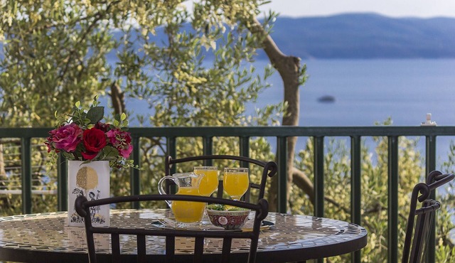 One bedroom apartment with terrace and sea view Brela, Makarska (A-11687-a)