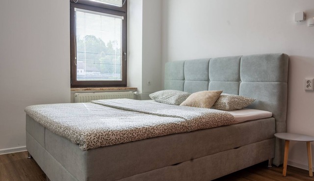 One Bedroom Apartment With River View in Krško