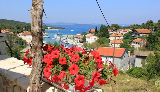 One bedroom apartment with terrace and sea view Žman, Dugi otok (A-887-b)