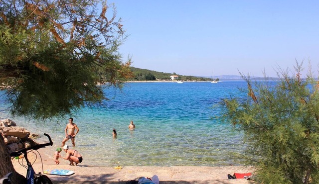 One bedroom apartment with terrace and sea view Zaglav, Dugi otok (A-393-a)