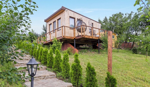 One-Bedroom Studio Cabin in Dealu Mare in Malu Roșu