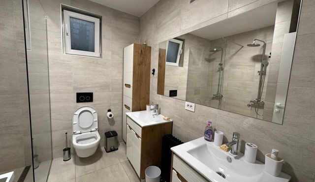 Only Villa close to Airport and the City in Beograd