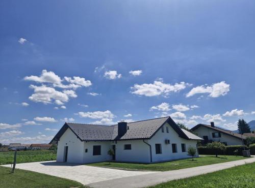 Orange house Šempeter in Zalec