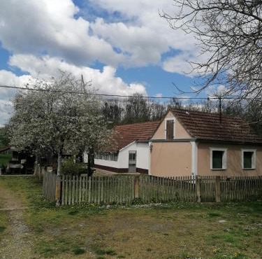 Orljak