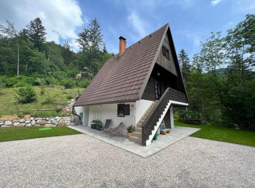 Our Forest House in Tržič
