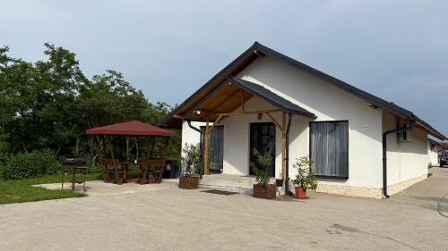 Palko Residence in Ocna Mures