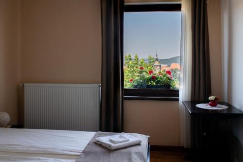 Panorama Guesthouse in Sighisoara