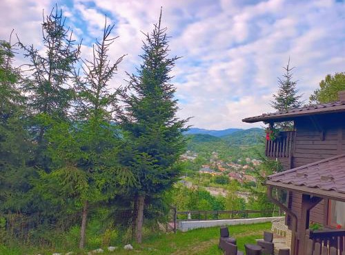 Panoramic Chalet in Vişeu de Sus