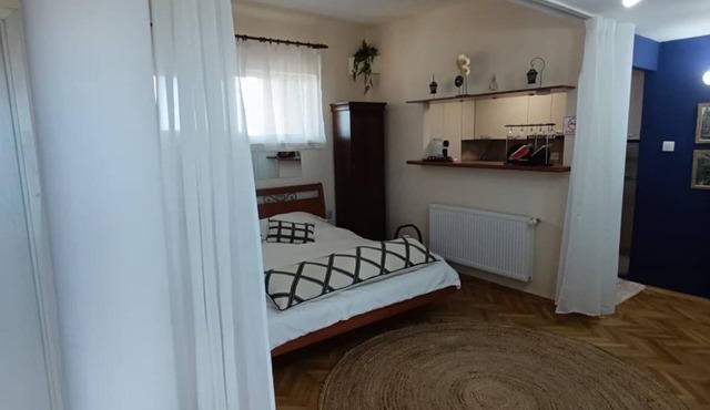 Peaceful 1-bedroom apartment with terrace in the heart of Bucharest in București