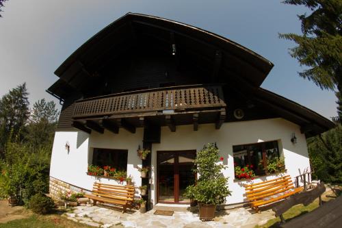 Pension Cabana Ionela in Vama