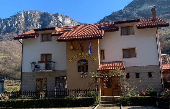 Pension RouaDeMunte in Baile Herculane