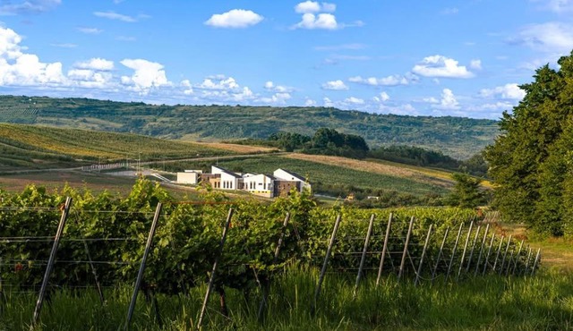 Pensiune și Restaurant Silvania in Sarmasag