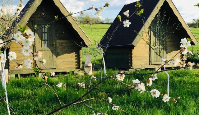 Pensiune Rozalia - Camping in Bunesti