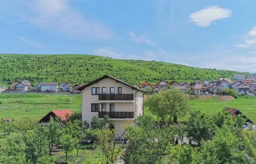 Pensiunea Albina in Sinnicoara