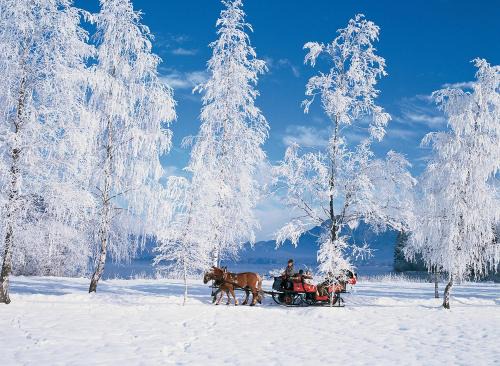 Pensiunea Bella Vita in Harghita-Băi