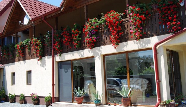 Pensiunea Casa Filoxenia in Horezu
