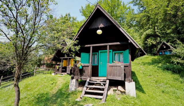 Pensiunea Dacica in Bosorod