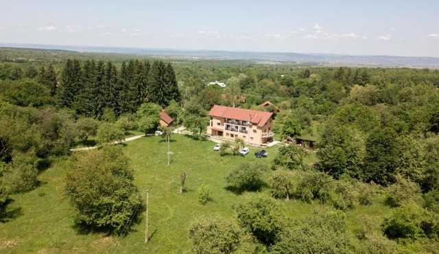 Pensiunea Elena in Vistisoara