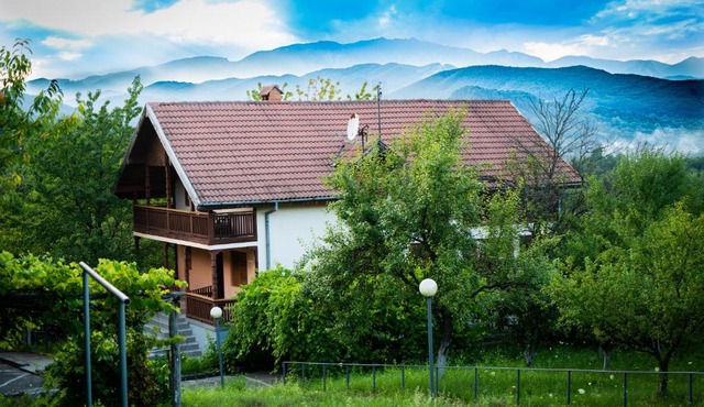 Pensiunea Erik Olanesti in Vlăduceni