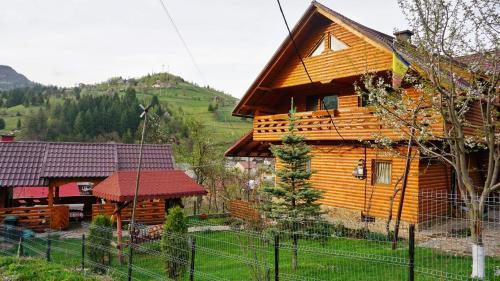 Pensiunea Jianu in Albac