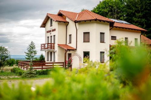 Pensiunea Rozelor Stațiunea Climaterică Sâmbăta in Vistea de Jos