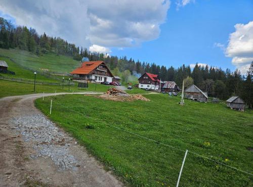Pensiunea Scarisoara in Gheţari