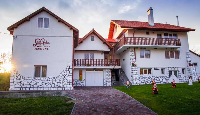 Pensiunea SilvAnka in Vîlcele