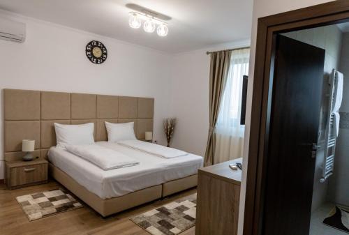 Pensiunea Sofia in Satu Mare