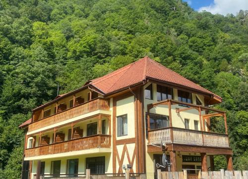 Pensiunea Tihna in Riu de Mori
