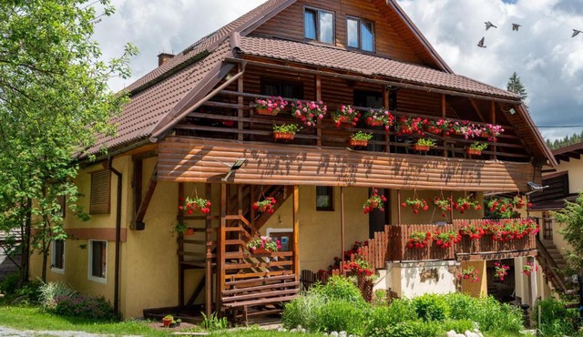 Pensiunea Viorica in Arieseni