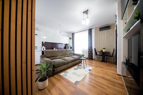 Penthouse View in Arad