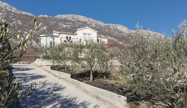 Pet friendly apartment in Gata