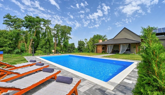 Pet friendly home in Gornje Plavnice