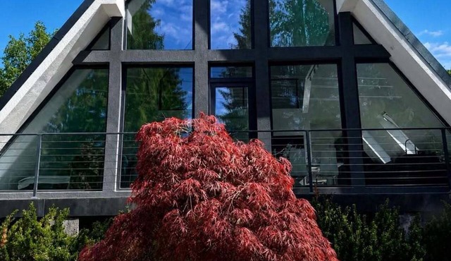 Pine Hill 1 with private Jacuzzi and heated pool during summer in Zavoi